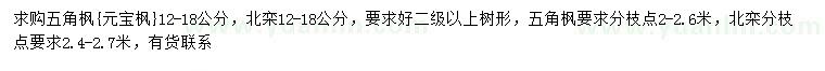求购五角枫、元宝枫、北栾