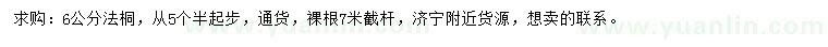 求购5.5公分以上法桐