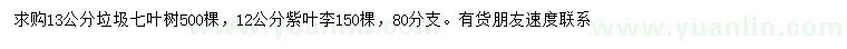 求购13公分七叶树、12公分紫叶李