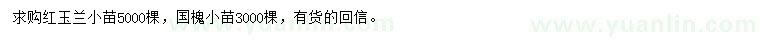 求购红玉兰小苗、国槐小苗