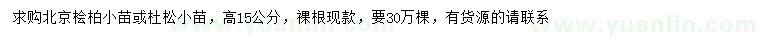 求购高15公分北京桧柏小苗或杜松小苗