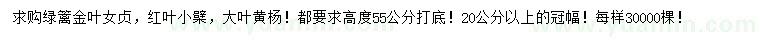 求购金叶女贞、红叶小檗、大叶黄杨