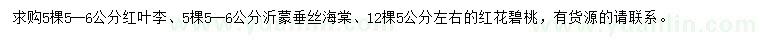 求购红叶李、垂丝海棠、红花碧桃