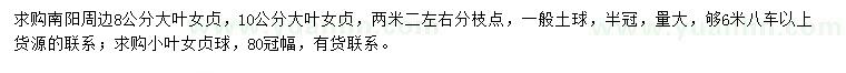 求购8、10公分大叶女贞、冠幅80公分小叶女贞球