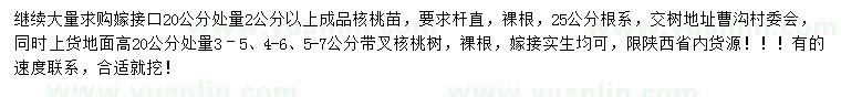 求购嫁接口20公分处量2公分以上核桃苗、地面高20公分处量3–5、4-6、5-7公分核桃树