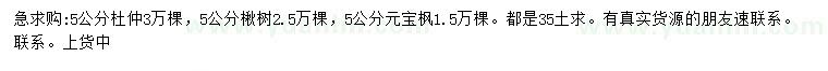 求购5公分杜仲、楸树、元宝枫