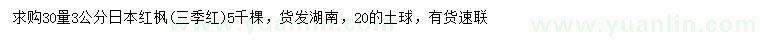 求购30量3公分日本红枫(三季红)