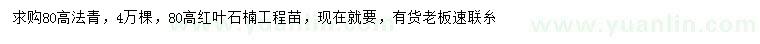 求购高80公分法青、红叶石楠