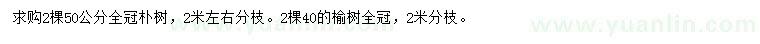 求购50公分朴树、40公分榆树