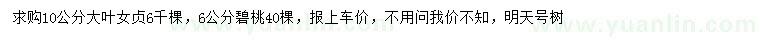 求购10公分大叶女贞、6公分碧桃