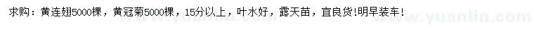 求购15公分以上黄连翘、黄冠菊