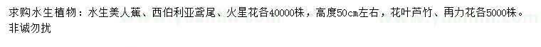 求购水生美人蕉、西伯利亚鸢尾、火星花等