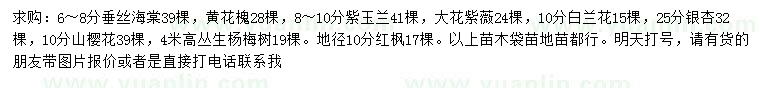 求购垂丝海棠、黄花槐、紫玉兰等