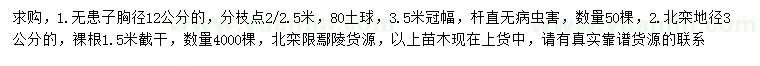 求购胸径12公分无患子、地径3公分北栾