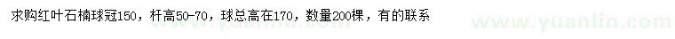 求购冠幅150公分红叶石楠球