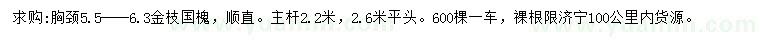 求购胸径5.5-6.3公分金枝国槐