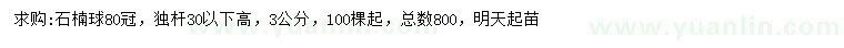 求购冠幅80公分石楠球