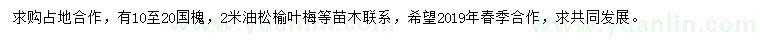 求购国槐、油松、榆叶梅