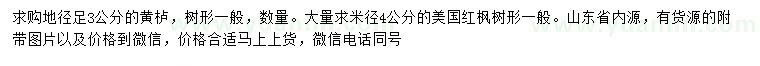 求购地径3公分黄栌、米径4公分美国红枫