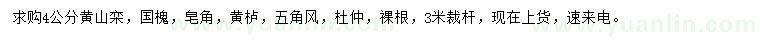 求购黄山栾、国槐、皂角等