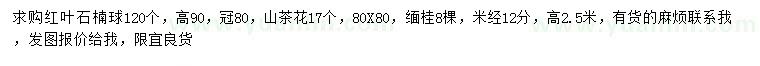 求购红叶石楠球、山茶花、缅桂