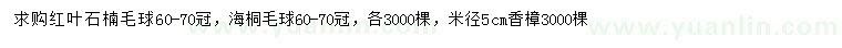 求购红叶石楠毛球、海桐毛球、香樟