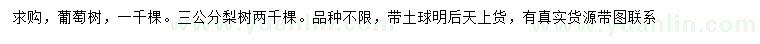 求购葡萄树、3公分梨树