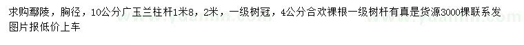 求购胸径10公分广玉兰、4公分合欢