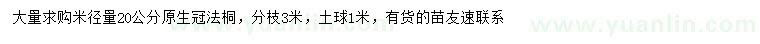 求购米径20公分法桐