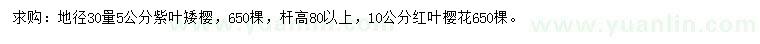 求购地径30量5公分紫叶矮樱、10公分红叶樱花