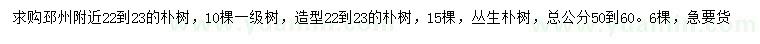 求购朴树、造型朴树、丛生朴树