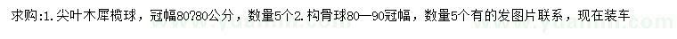 求购冠幅80公分尖叶木犀榄球、冠幅80-90构骨球