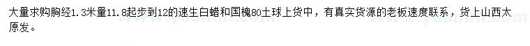 求购胸经1.3米量11.8起步到12的速生白蜡和国槐