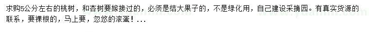 求购5公分左右桃树、杏树