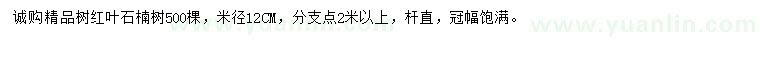 求购米径12公分红叶石楠