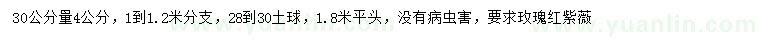 求购30公分量4公分玫瑰红紫薇