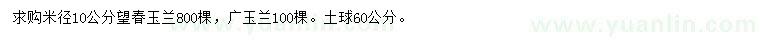 求购米径10公分望春玉兰、广玉兰