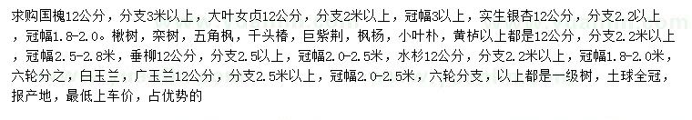 求购国槐、大叶女贞、银杏等