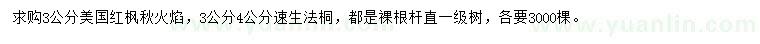 求购3公分美国红枫秋火焰、速生法桐