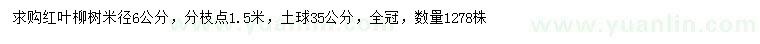 求购米径6公分红叶柳树