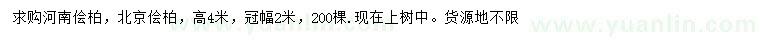 求购高4米河南桧柏、北京桧柏