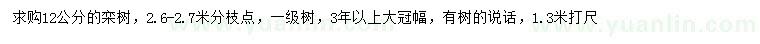 求购1.3米量12公分栾树