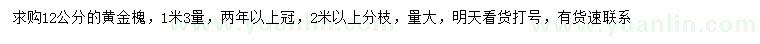 求购1.3米量12公分黄金槐