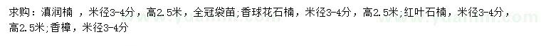 求购滇润楠、球花石楠、红叶石楠