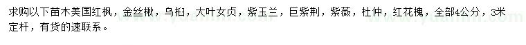 求购美国红枫、金丝楸、乌桕等