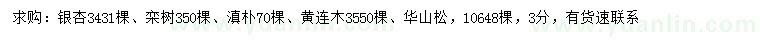 求购银杏、栾树、滇朴等