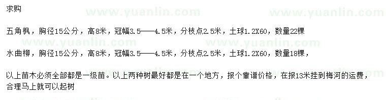 求购胸径15公分五角枫、水曲柳