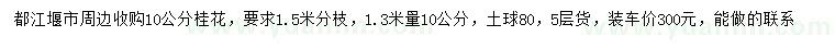 求购1.3米量10公分桂花