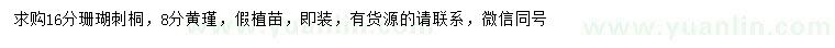 求购16公分珊瑚刺桐、8公分黄槿