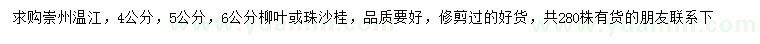 求购4、5、6公分柳叶桂、朱砂桂